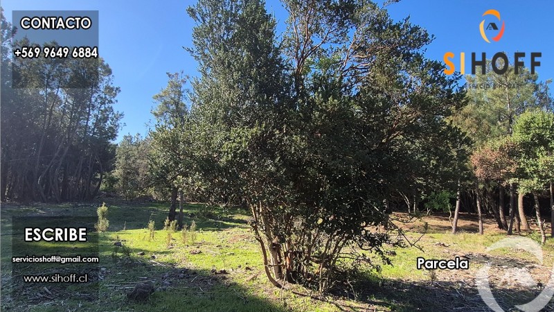Se Vende Parcela Camino San Ignacio, Chillán