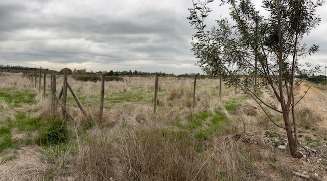 Parcela 5000 Metros en Condominio en Creacion