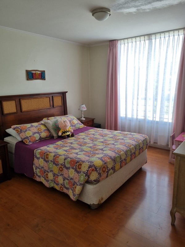 Venta Departamento Av. Antonio Varas Comuna Providencia