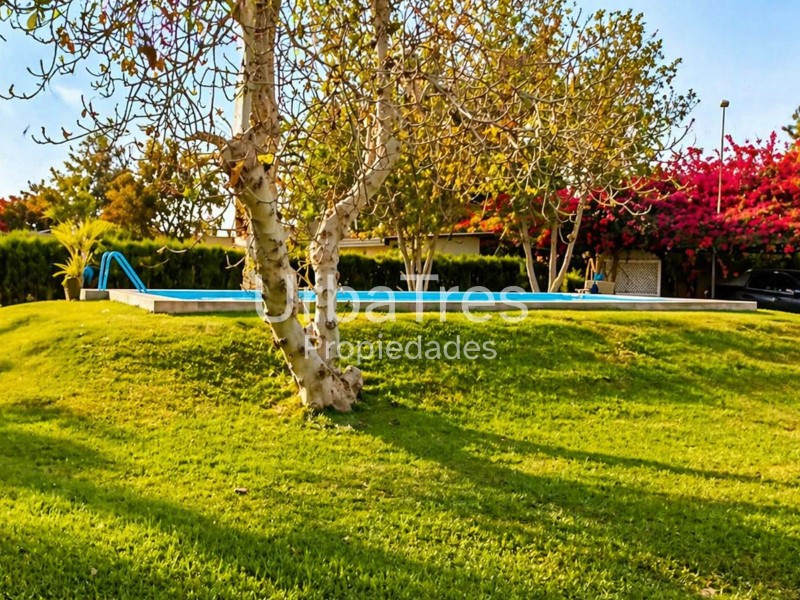 Venta Parcela Con Casa, Piscina,árboles Frutales Valle Azapa