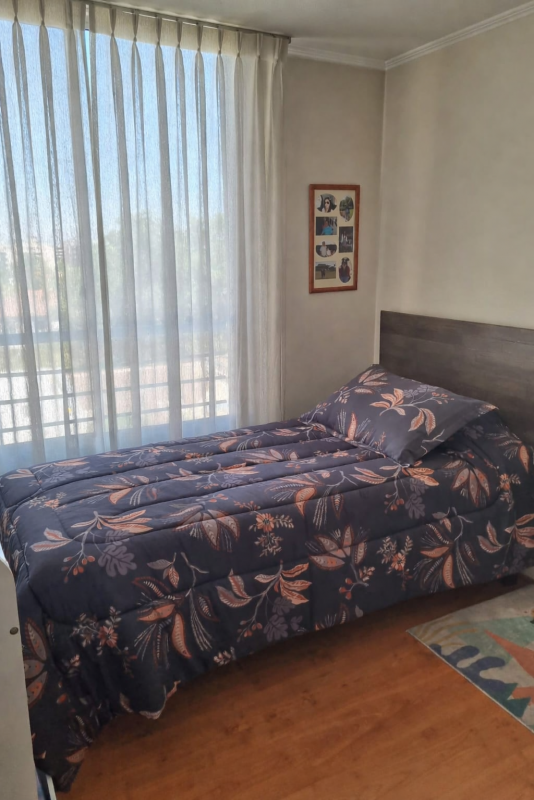 Venta Departamento Av. Antonio Varas Comuna Providencia