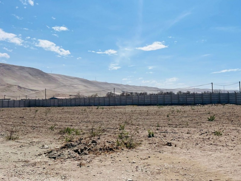 Venta Parcela 5.000 M² Kilómetro 6 Valle de Azapa, Arica