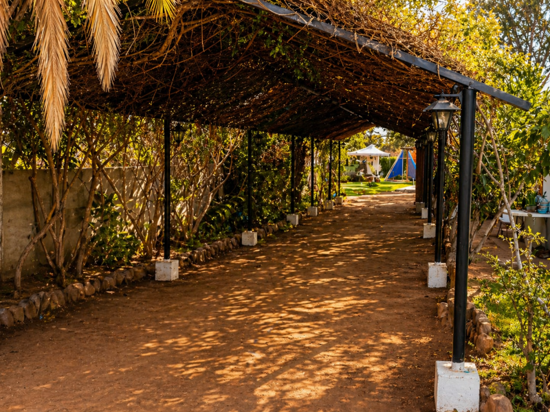 Venta Parcela Con Casa, Piscina,árboles Frutales Valle Azapa