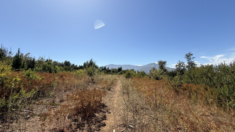 Se Vende Poyecto de Loteo en Sector Upeo