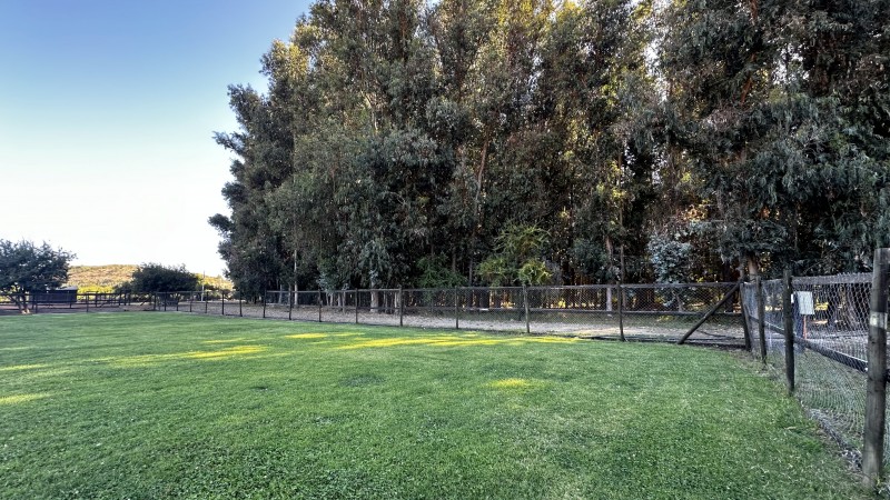 Se Vende Parcela en Hacienda de Zapallar Primera Etapa