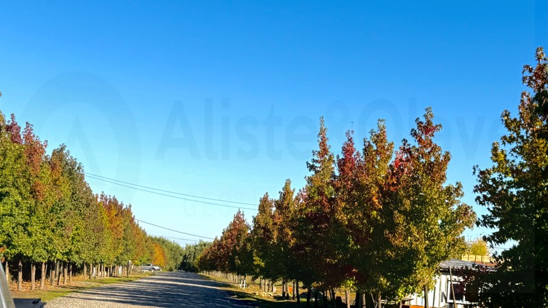 Se Vende Hermosa Casa en Condominio Alto las Rosas