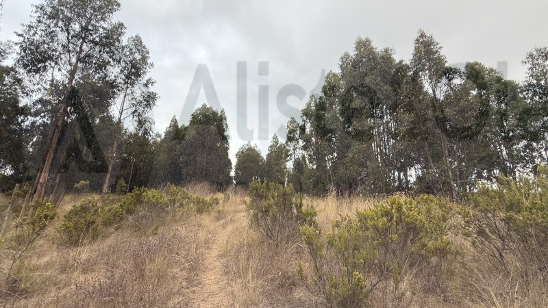 Se Vende Parcela en Precioso Sector las Trincheras