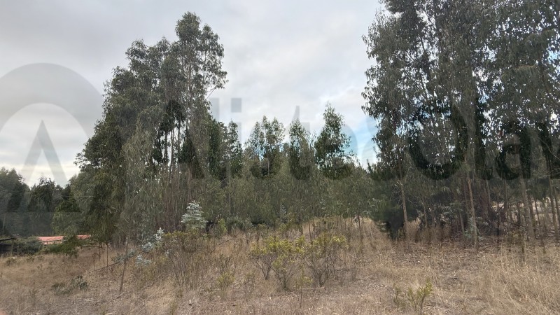 Se Vende Parcela en Precioso Sector las Trincheras
