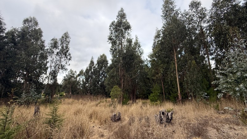 Se Vende Parcela en Precioso Sector las Trincheras