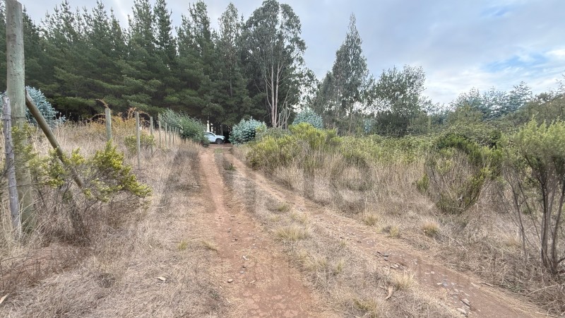Se Vende Parcela en Precioso Sector las Trincheras