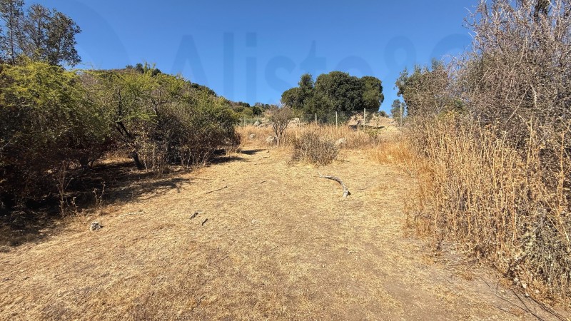 Se Vende Parcela en Hacienda de Zapallar Primera Etapa