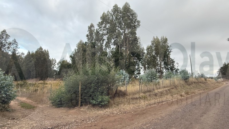Se Vende Parcela en Precioso Sector las Trincheras