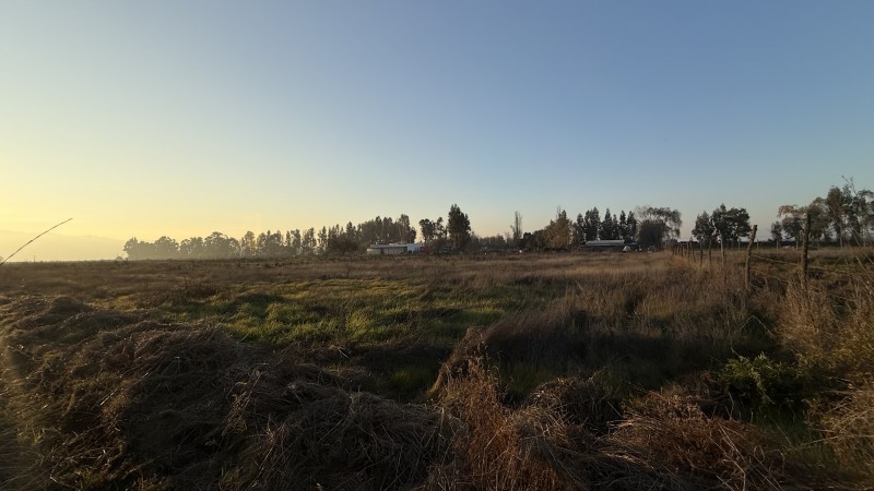 Se Vende Parcela Sector Teno Hacia Covento Viejo la Aurora