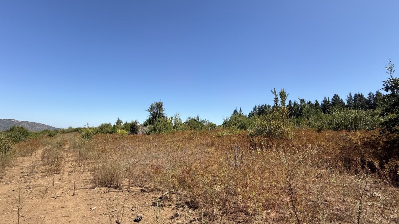 Se Vende Poyecto de Loteo en Sector Upeo