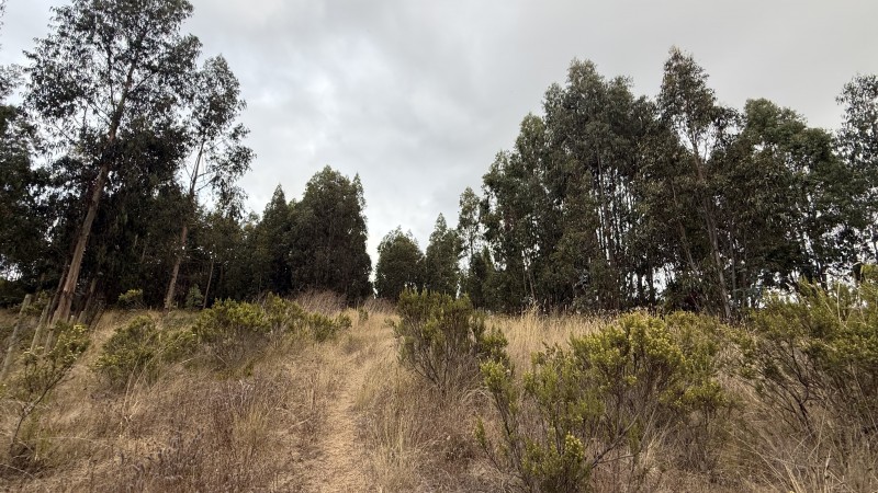 Se Vende Parcela en Precioso Sector las Trincheras