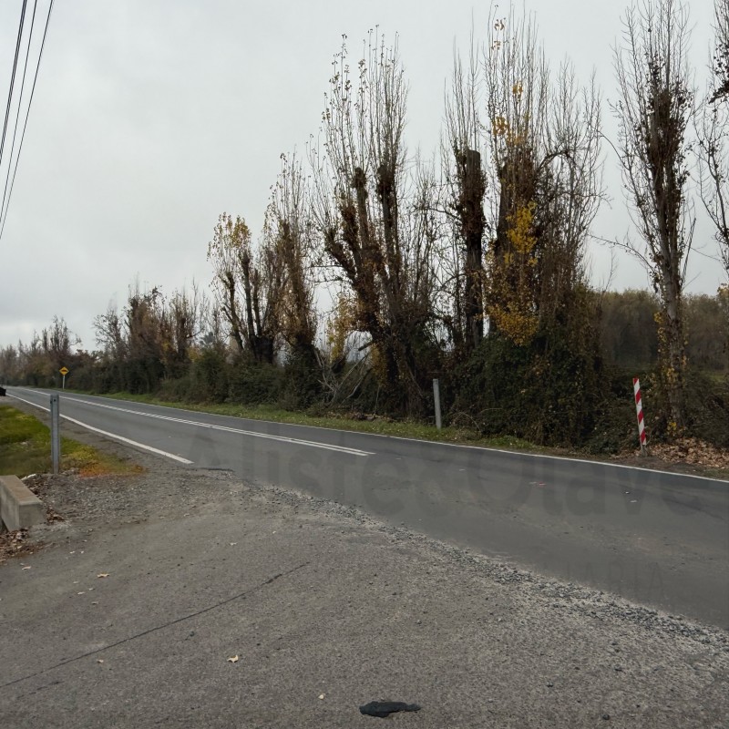 Se Vende Parcela 5000 Mts Zapallar Curico