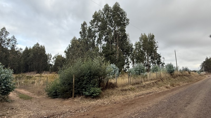 Se Vende Parcela en Precioso Sector las Trincheras