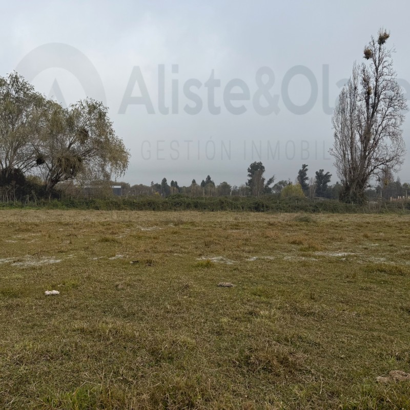Se Vende Parcela 5000 Mts Zapallar Curico