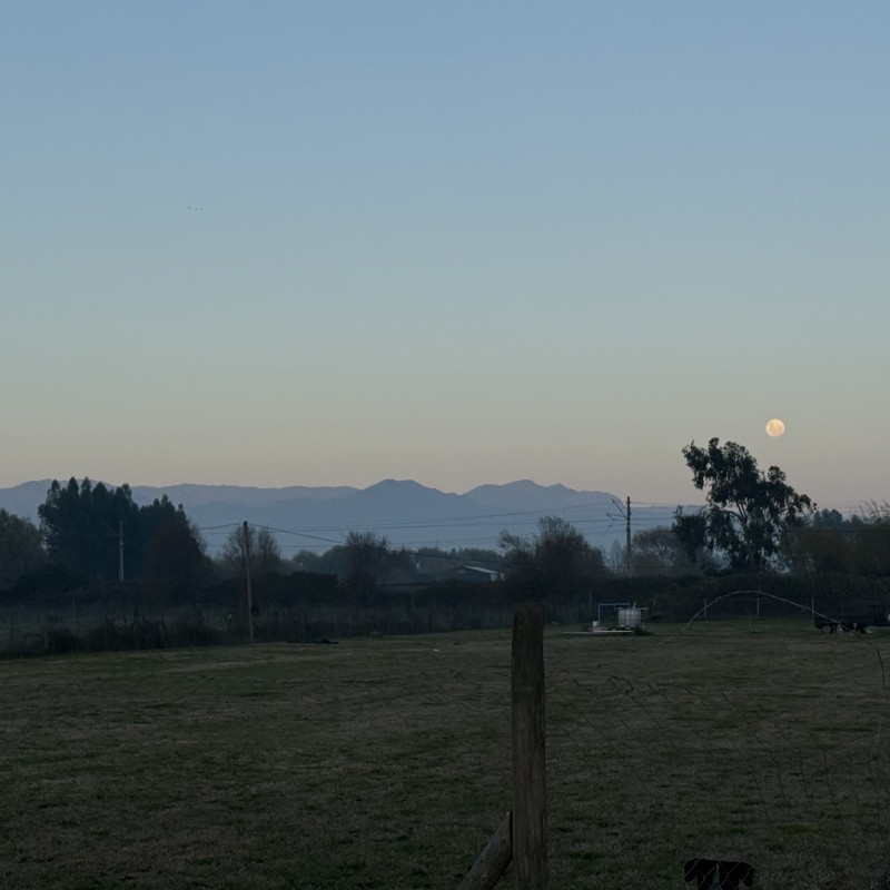 Se Vende Parcela Sector Teno Hacia Covento Viejo la Aurora