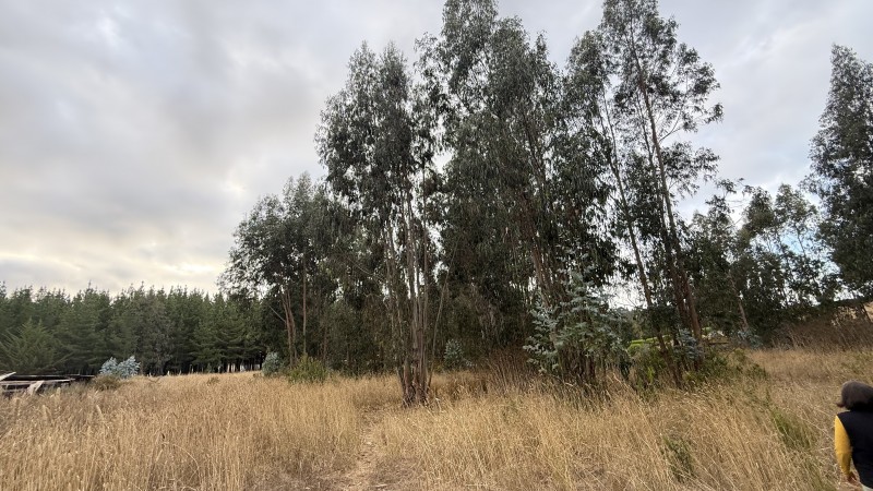 Se Vende Parcela en Precioso Sector las Trincheras