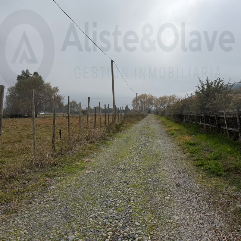 Se Vende Parcela 5000 Mts Zapallar Curico