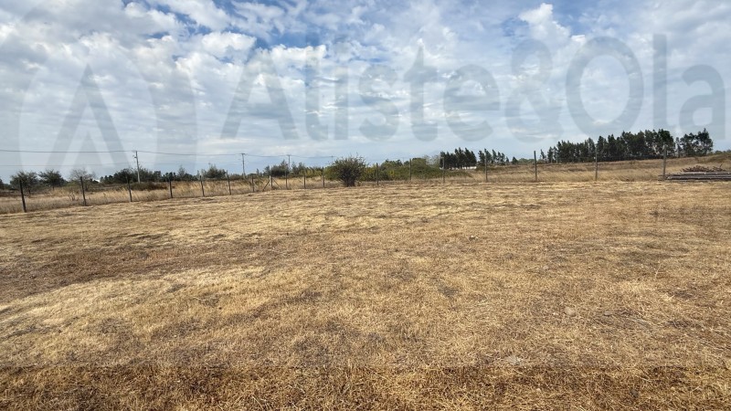 Se Vende Parcela 5000Mts Condominio Santa Elba Teno