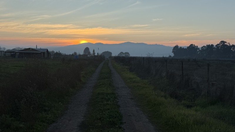 Fotografía de Se Vende Parcela Sector Teno Hacia Covento Viejo la Aurora