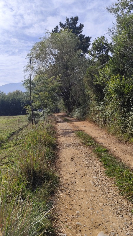 Vende Parcelas de 5000 M2 en Quinamavida Colbun