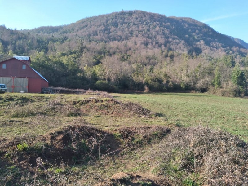 Vende Parcela 11.25 Hectareas Con Casa en Rabones, Colbun