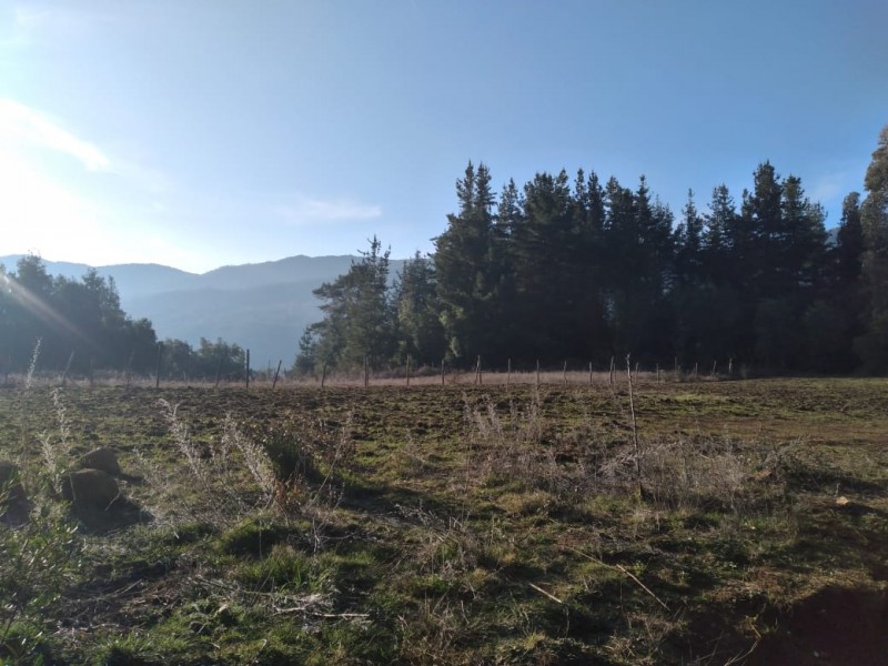 Vende Parcela 11.25 Hectareas Con Casa en Rabones, Colbun