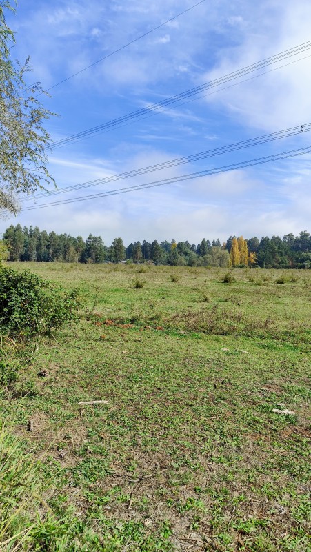Vende Parcelas de 5000 M2 en Quinamavida Colbun