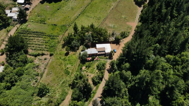 Vende Parcela 11.25 Hectareas Con Casa en Rabones, Colbun