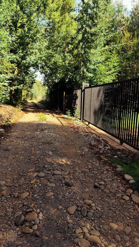 Vende Parcelas de 5000 M2 en Quinamavida Colbun