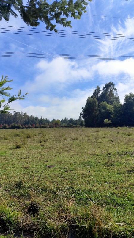 Vende Parcelas de 5000 M2 en Quinamavida Colbun