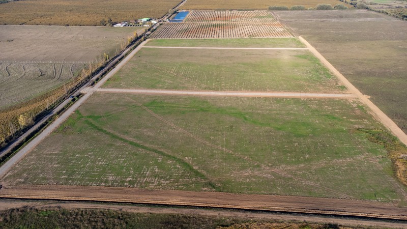 Vende Exclusivas Parcelas de 5000 M2 en Condominio en Colbun