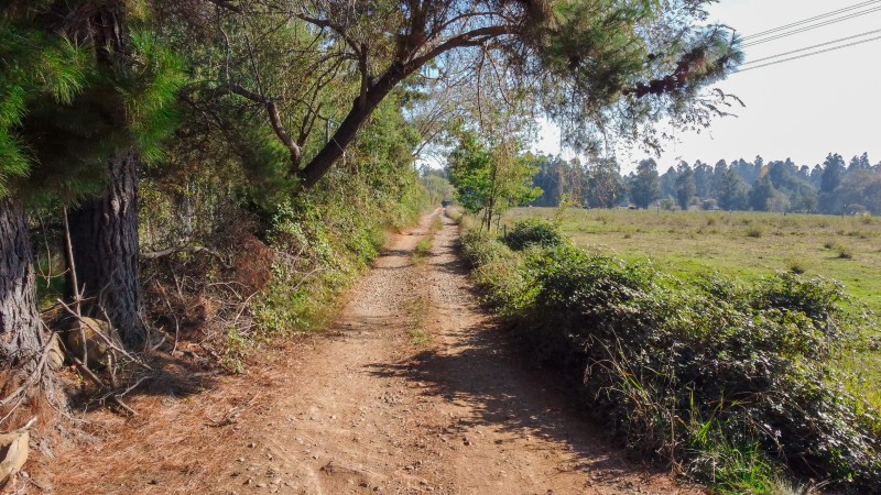 Vende Parcelas de 5000 M2 en Quinamavida Colbun