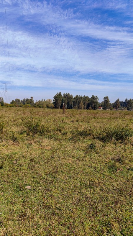 Vende Parcelas de 5000 M2 en Quinamavida Colbun