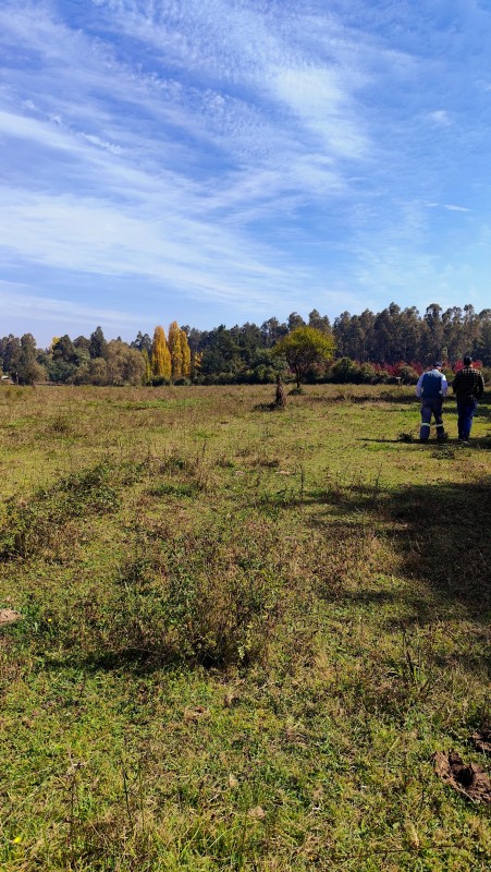 Vende Parcelas de 5000 M2 en Quinamavida Colbun