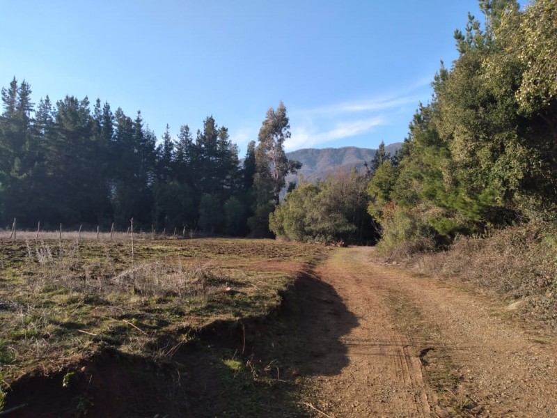 Vende Parcela 11.25 Hectareas Con Casa en Rabones, Colbun