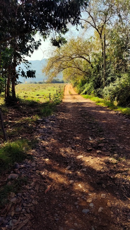 Vende Parcelas de 5000 M2 en Quinamavida Colbun