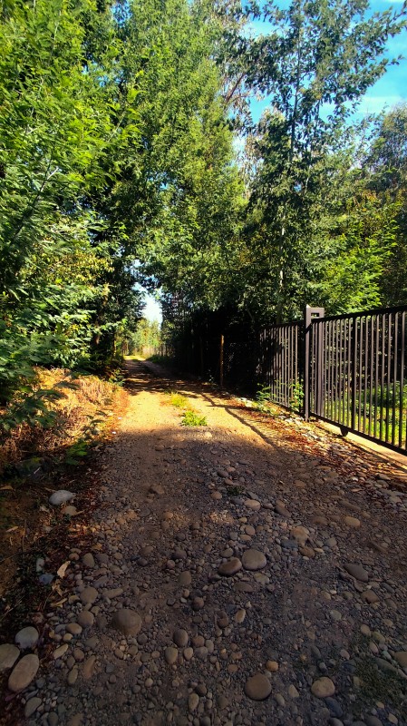 Vende Parcelas de 5000 M2 en Quinamavida Colbun