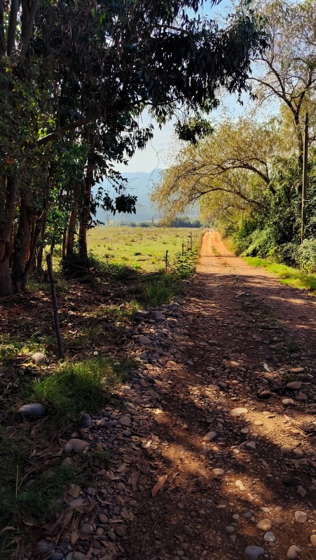 Vende Parcelas de 5000 M2 en Quinamavida Colbun