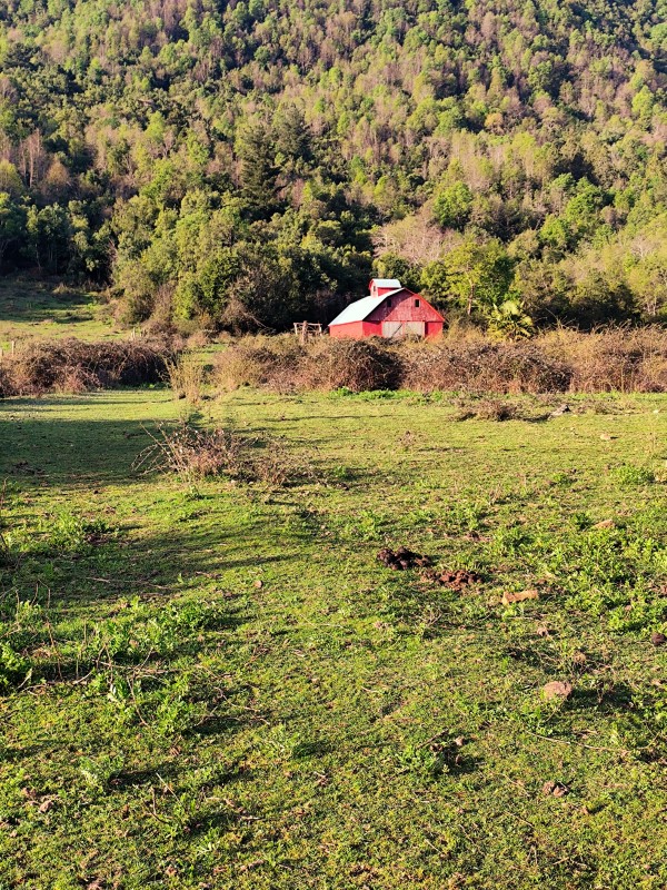 Vende Parcela 11.25 Hectareas Con Casa en Rabones, Colbun
