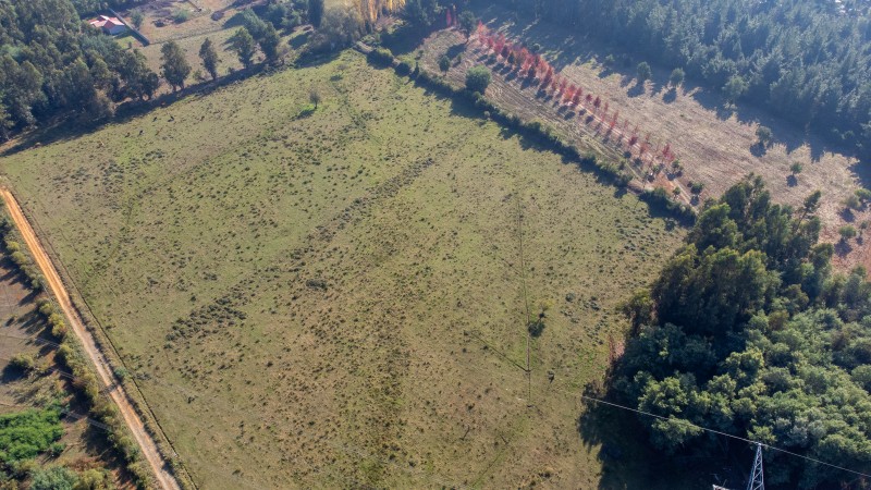 Vende Parcelas de 5000 M2 en Quinamavida Colbun