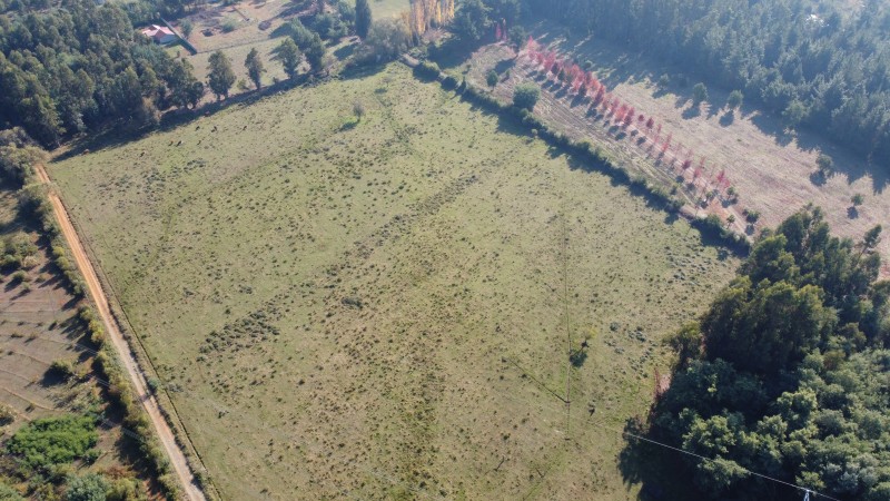 Vende Parcelas de 5000 M2 en Quinamavida Colbun