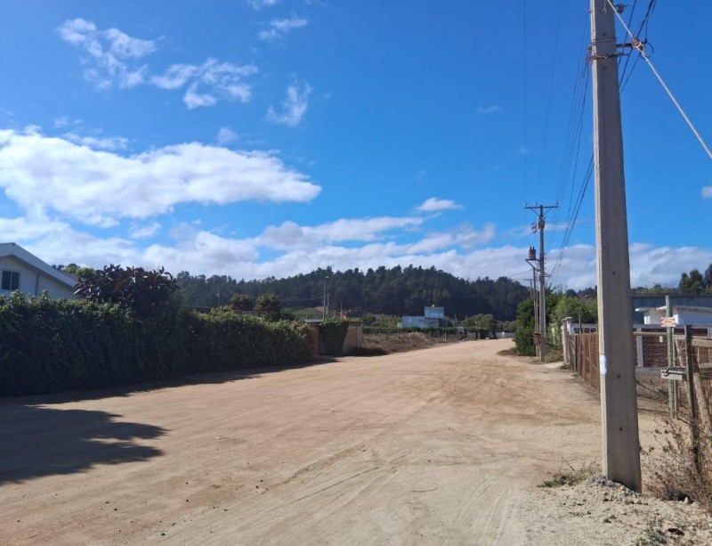 5000 Metros Algarrobo , Orilla Ruta