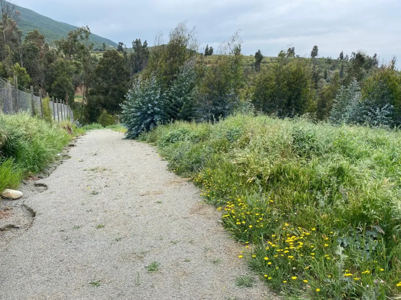 Venta de Terreno Sector las Gaviotas Concon