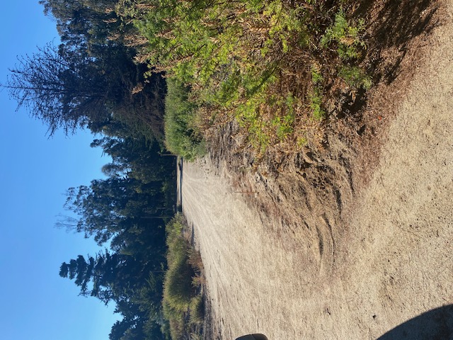 Terreno en Condominio, Ritoque, Impecable,