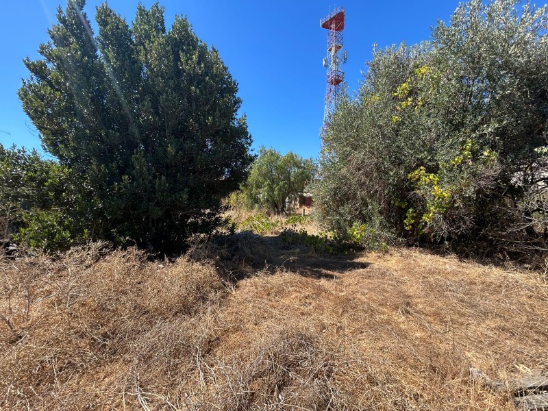 Industrial , 2300 Metros Cuadrados Aprox