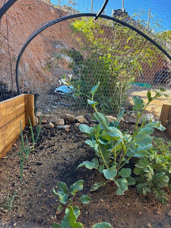 Cochiguaz, Valle del Elqui. Casa Moderna Negocio Cerrado